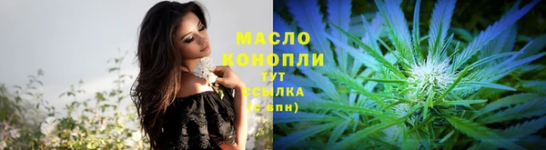 прущие грибы Богданович