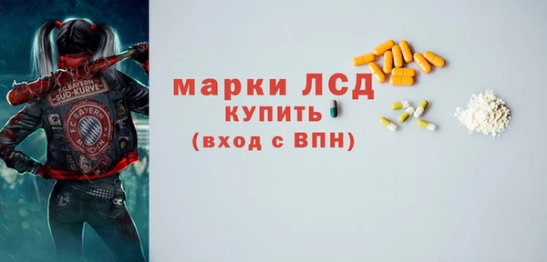 прущие грибы Богданович