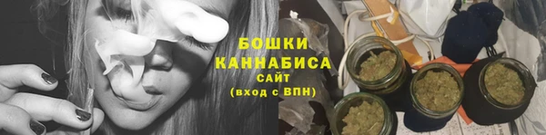 прущие грибы Богданович