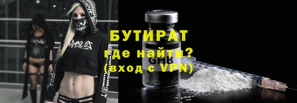 прущие грибы Богданович