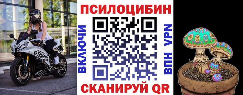 Купить закладки  Рассказово  Псилоцибиновые грибы MAGIC MUSHROOMS 